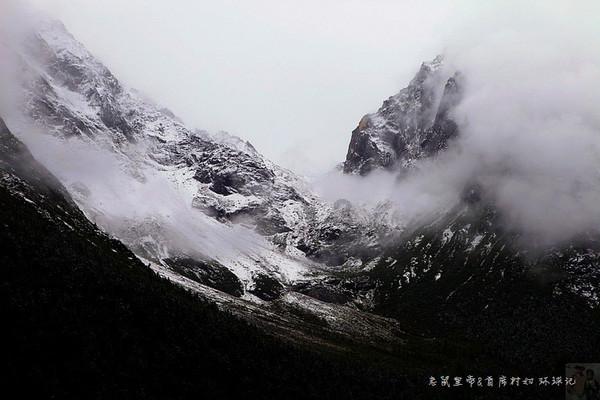 拯救老科学家